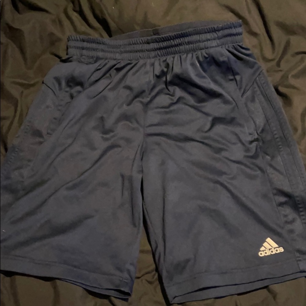Adidas Climalite Shorts